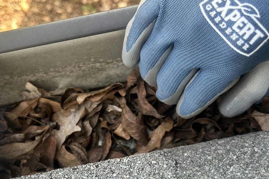 Gutter Cleaning Huntersville