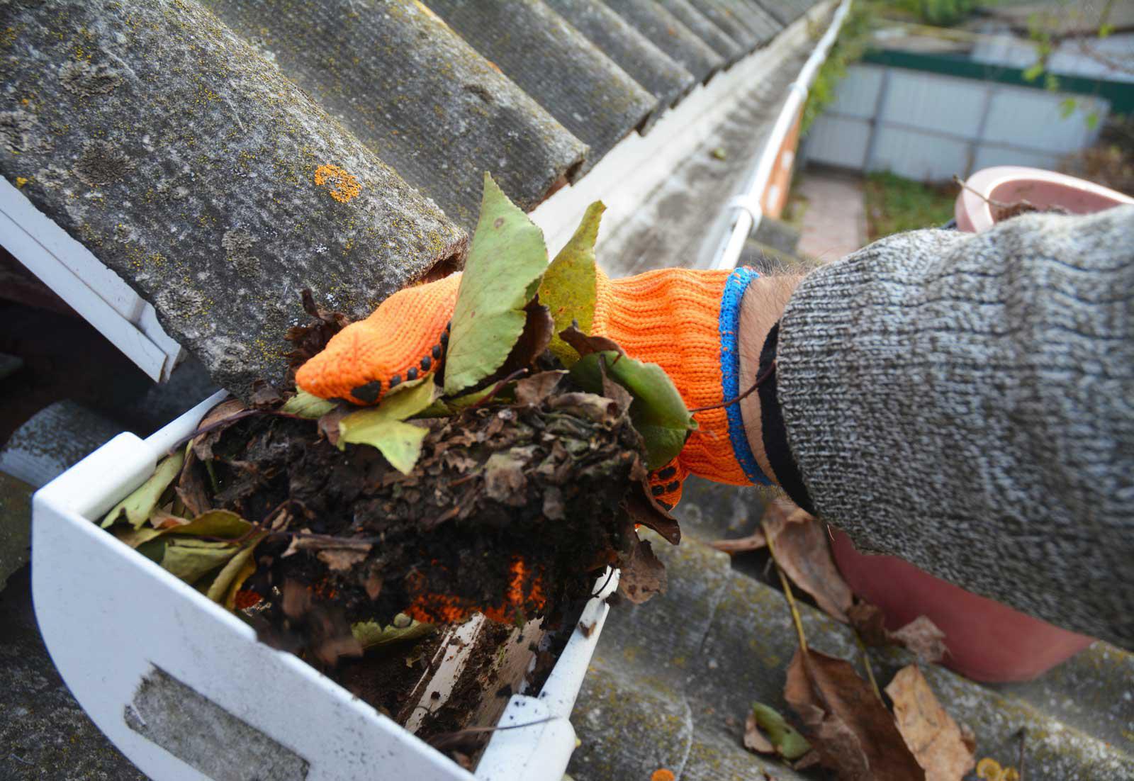 Hand debris removal from a clogged gutter filled with leaves and pine needles