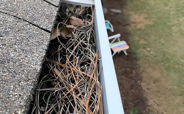 Gutter Cleaning