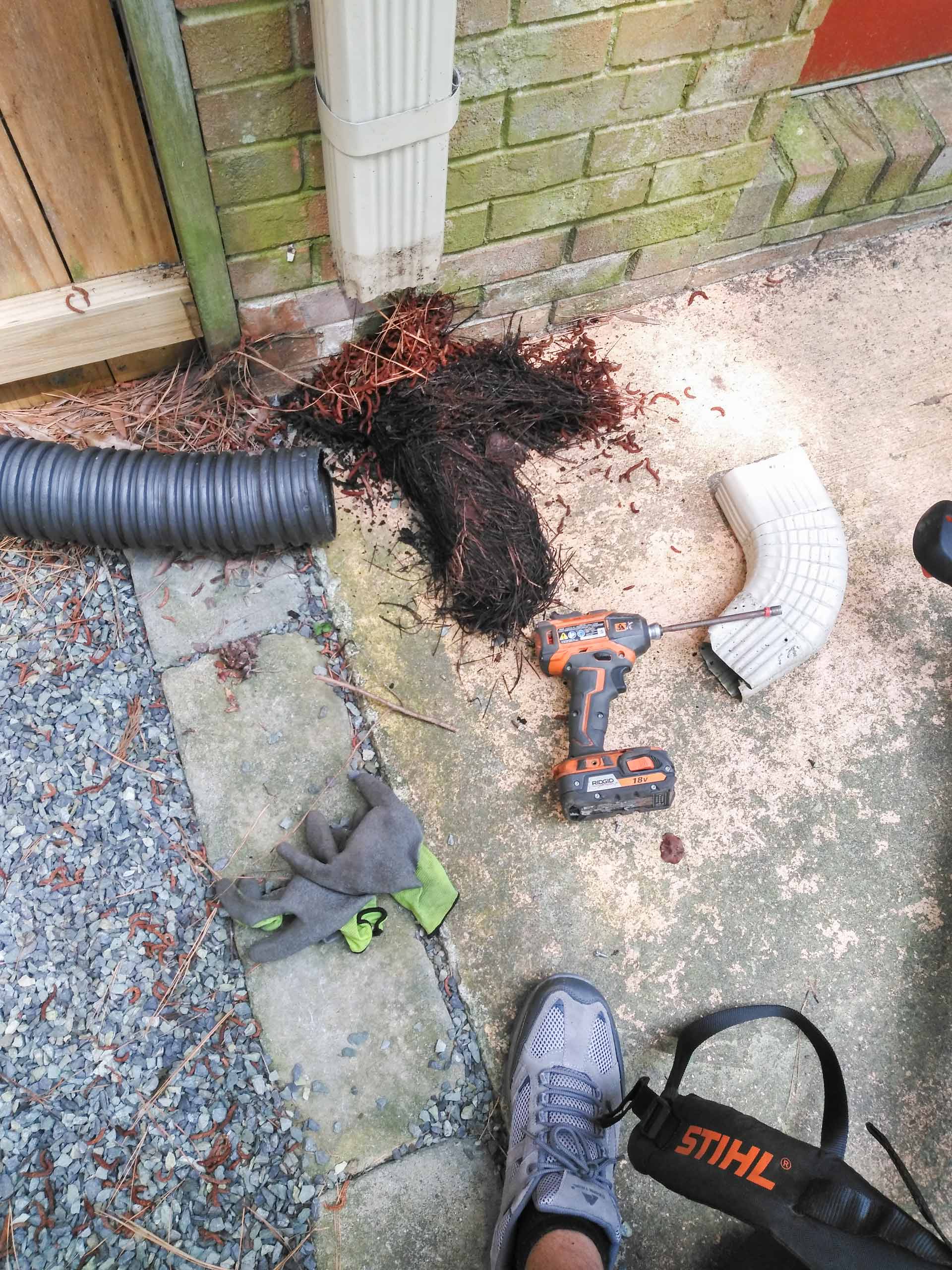 Downspout Flushing